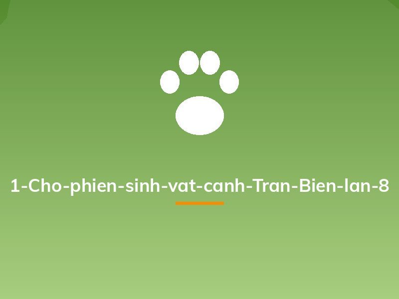 1-Cho-phien-sinh-vat-canh-Tran-Bien-lan-8