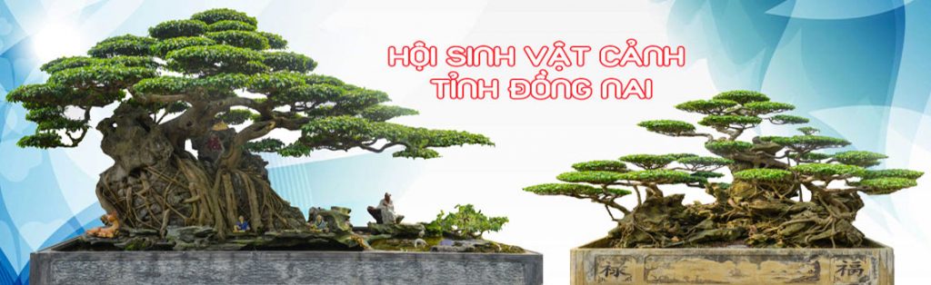 Hoi-sinh-vat-canh-dong-nai-2
