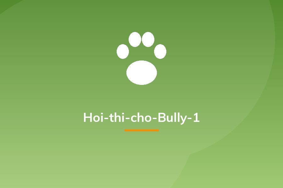 Hoi-thi-cho-Bully-1