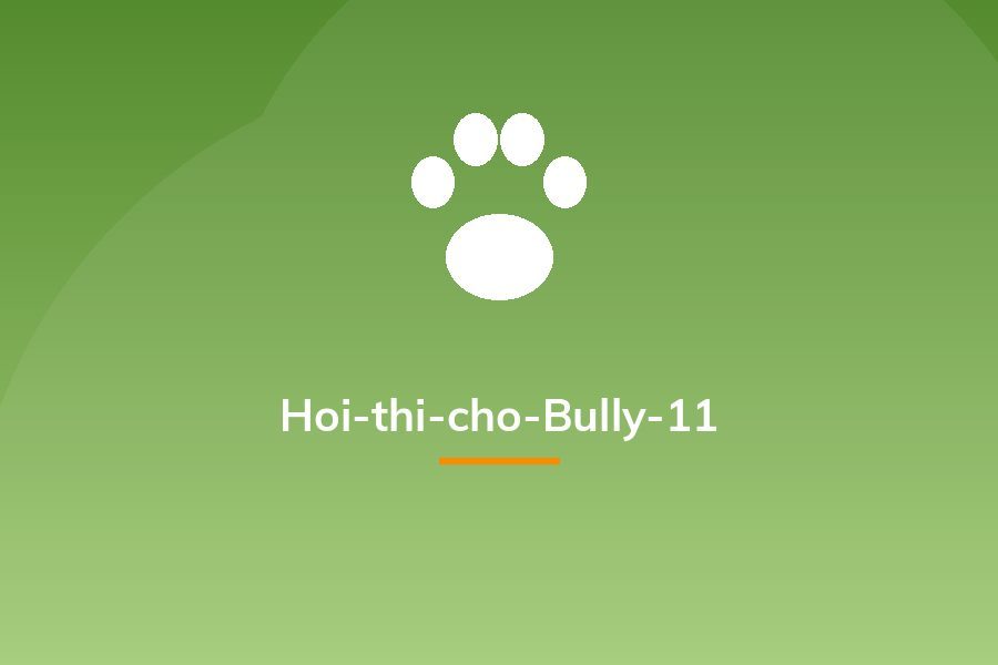 Hoi-thi-cho-Bully-11