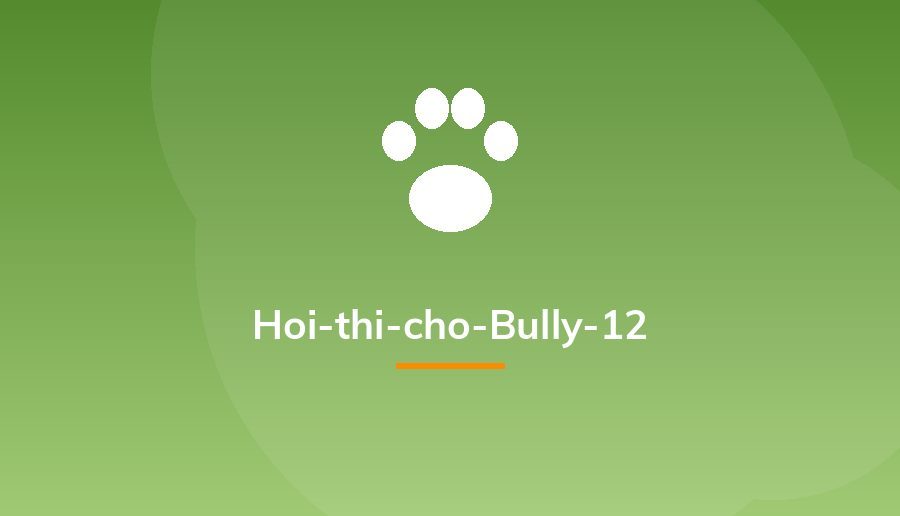 Hoi-thi-cho-Bully-12