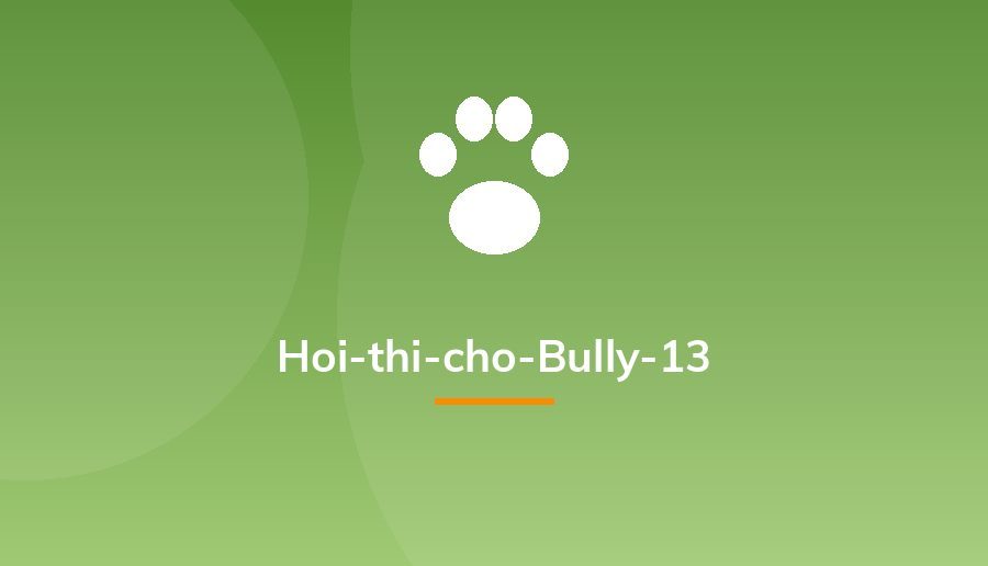 Hoi-thi-cho-Bully-13