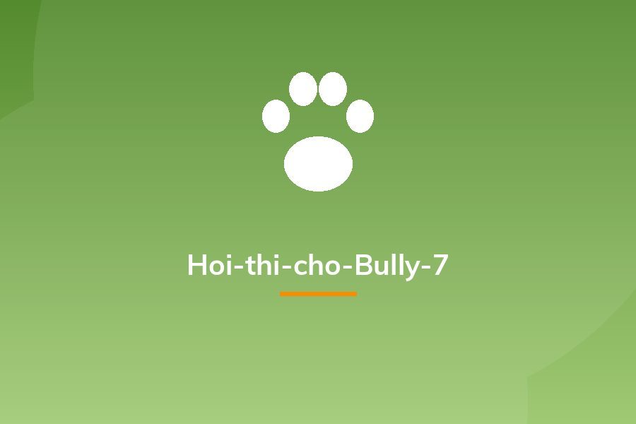 Hoi-thi-cho-Bully-7