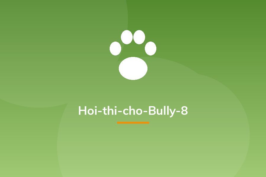 Hoi-thi-cho-Bully-8