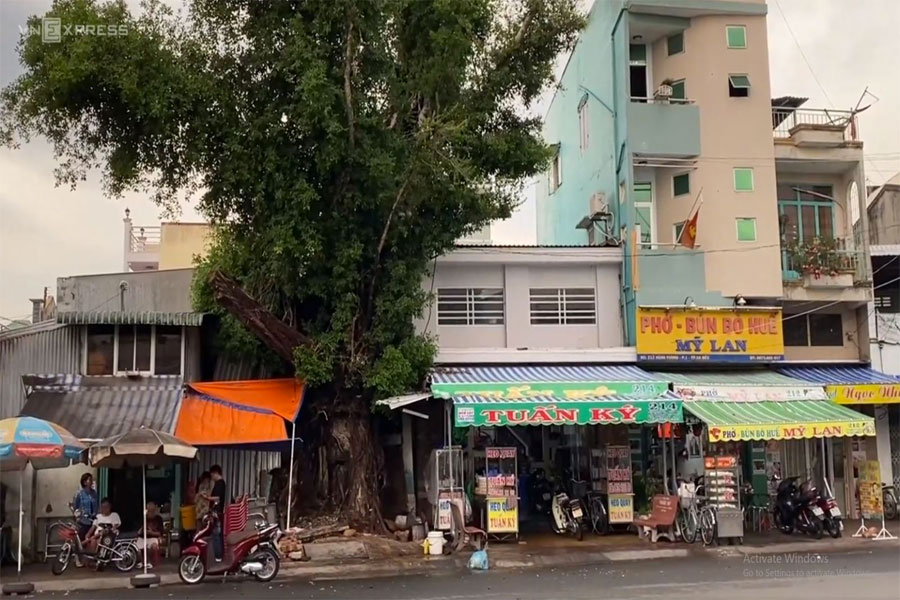 Sinh-vat-canh-dong-nai