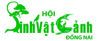 VỀ CHÚNG TÔI