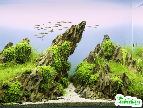 da-ho-thuy-sinh