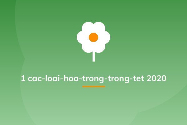 1 cac-loai-hoa-trong-trong-tet 2020