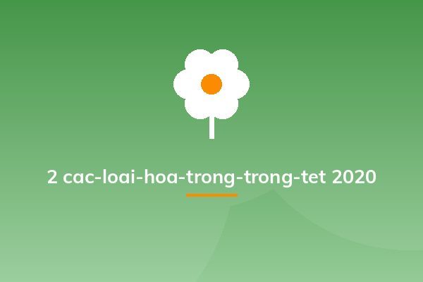 2 cac-loai-hoa-trong-trong-tet 2020