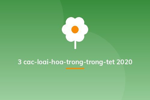 3 cac-loai-hoa-trong-trong-tet 2020