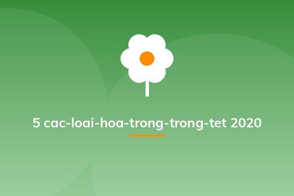 5 cac-loai-hoa-trong-trong-tet 2020