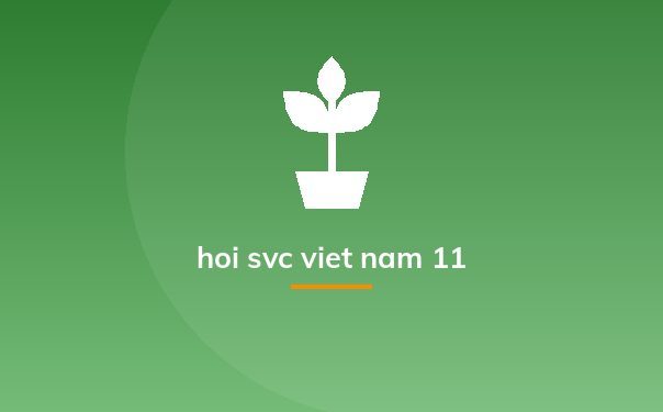 hoi svc viet nam 11
