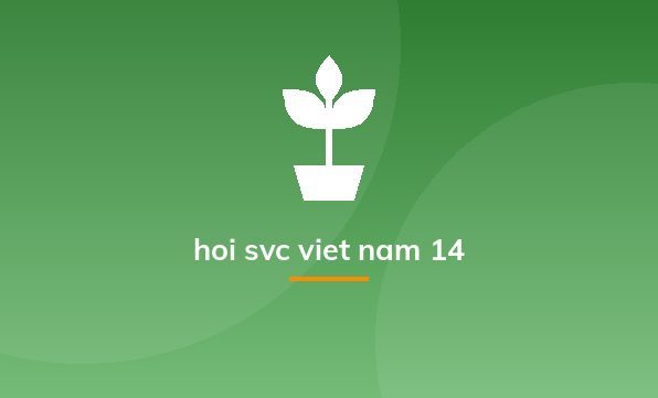 hoi svc viet nam 14