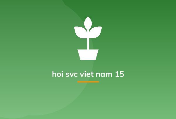 hoi svc viet nam 15