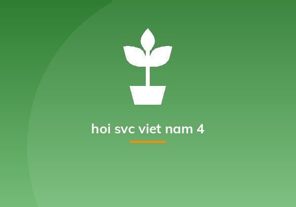 hoi svc viet nam 4