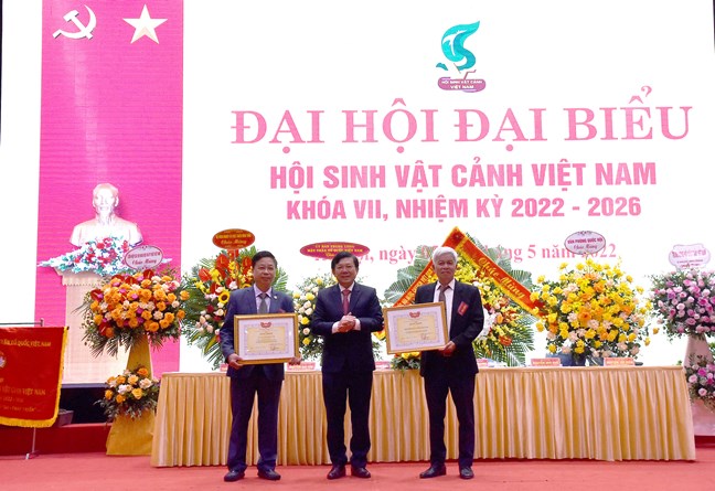 sinh vat canh viet nam