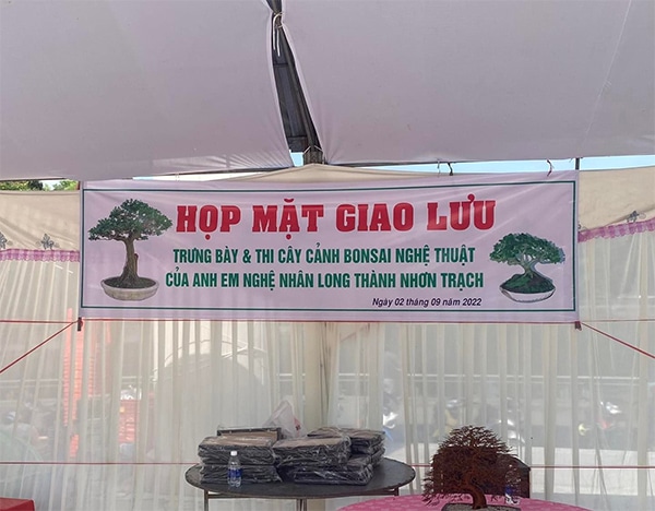 trung bay bonsai 1