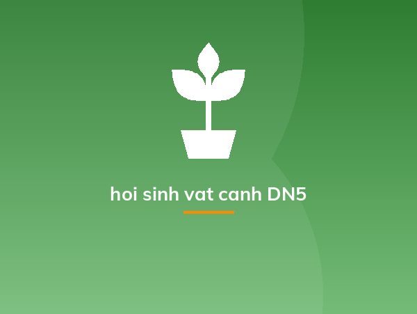hoi sinh vat canh DN5