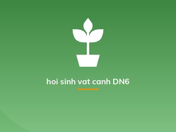 hoi sinh vat canh DN6