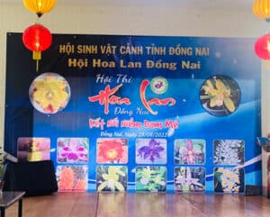 hoi thi hoa lan dong nai 1