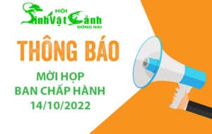 moi hop bch hoi sinh vat canh