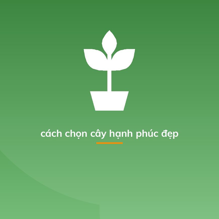cách chọn cây hạnh phúc đẹp