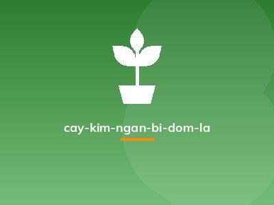 cay-kim-ngan-bi-dom-la