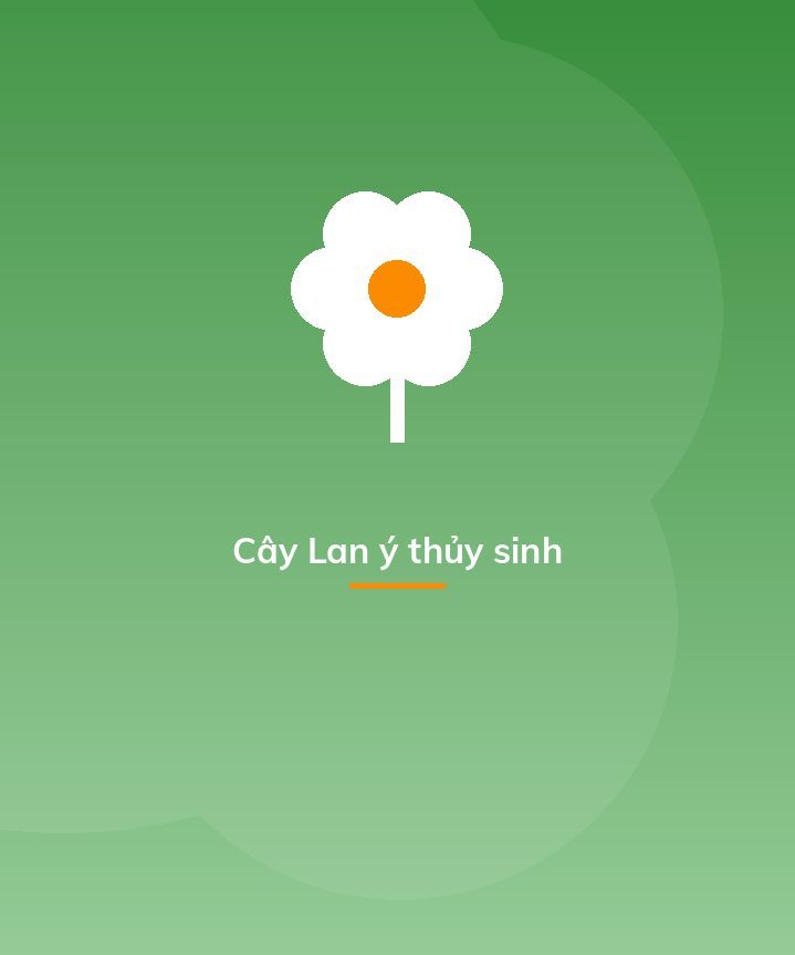 Cây Lan ý thủy sinh
