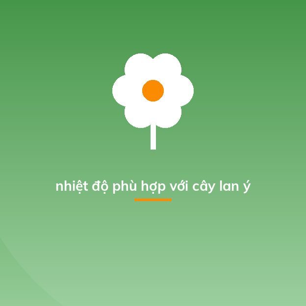 nhiệt độ phù hợp với cây lan ý