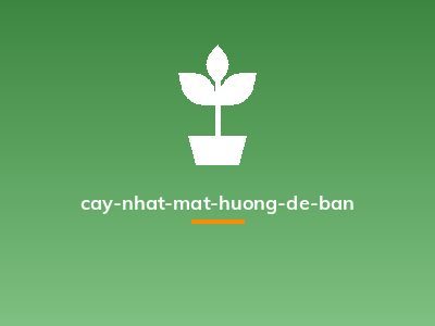 cay-nhat-mat-huong-de-ban