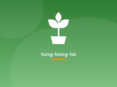 tung-bong-lai