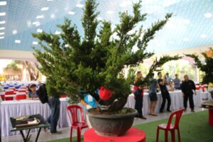 Nghệ nhân Lee Chung Hong - Đài Loan cùng cộng sự tạo tác Bonsai tại ASPAC15
