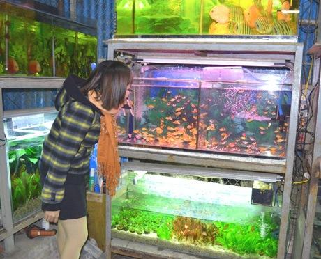 cửa hàng bán cá mún