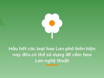 Hầu hết các loại hoa Lan phổ biến hiện nay đều có thể sử dụng để cắm hoa Lan nghệ thuật