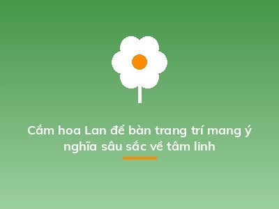 Cắm hoa Lan để bàn trang trí mang ý nghĩa sâu sắc về tâm linh