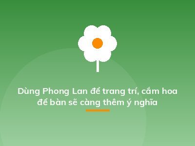 Dùng Phong Lan để trang trí, cắm hoa để bàn sẽ càng thêm ý nghĩa