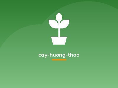 cay-huong-thao