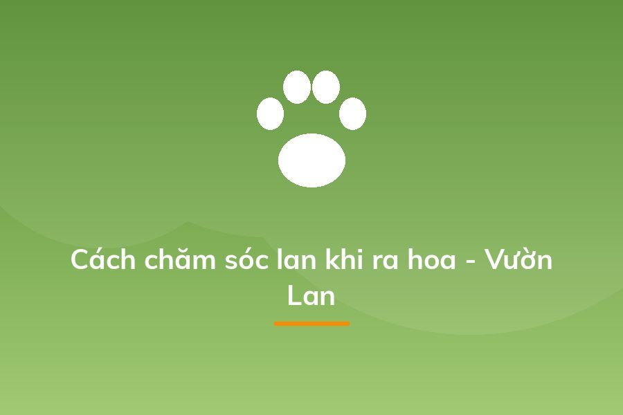 Cách chăm sóc lan khi ra hoa - Vườn Lan