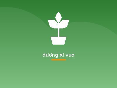 dương xỉ vua