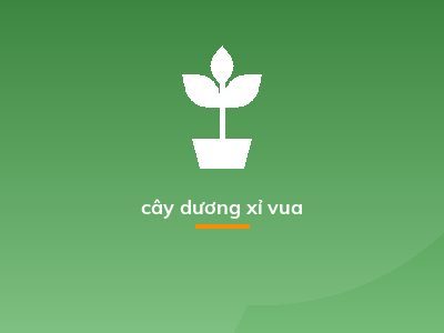 cây dương xỉ vua
