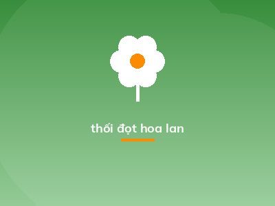 thối đọt hoa lan