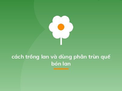 cách trồng lan và dùng phân trùn quế bón lan