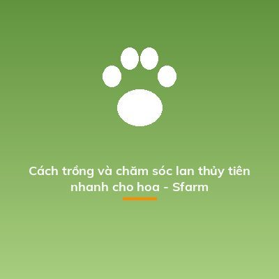 Cách trồng và chăm sóc lan thủy tiên nhanh cho hoa - Sfarm