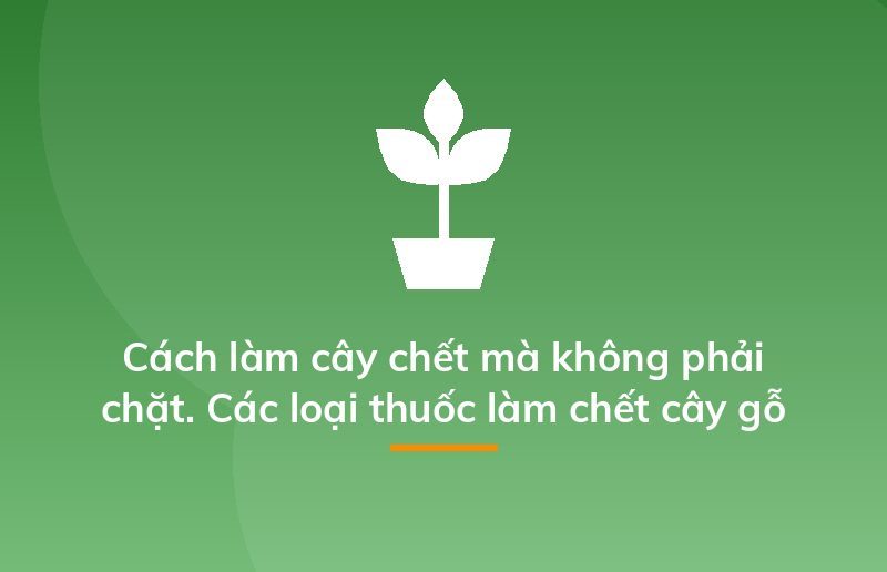 Cách làm cây chết mà không phải chặt. Các loại thuốc làm chết cây gỗ