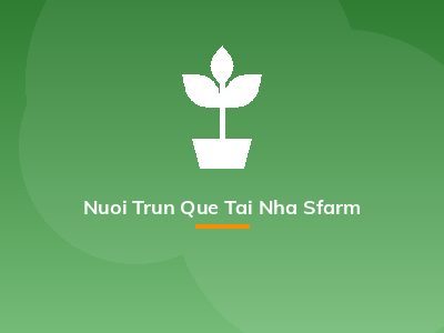 Nuoi Trun Que Tai Nha Sfarm