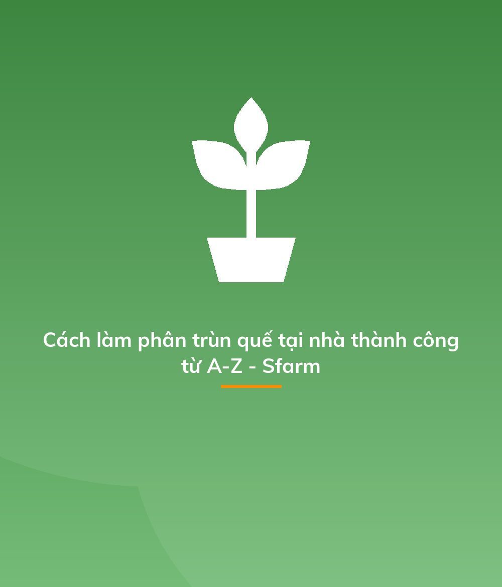 Cách làm phân trùn quế tại nhà thành công từ A-Z - Sfarm