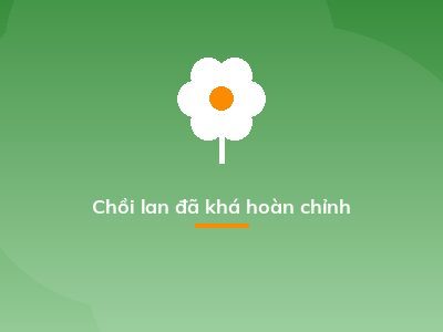 Chồi lan đã khá hoàn chỉnh