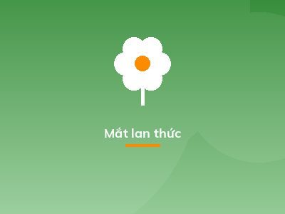 Mắt lan thức