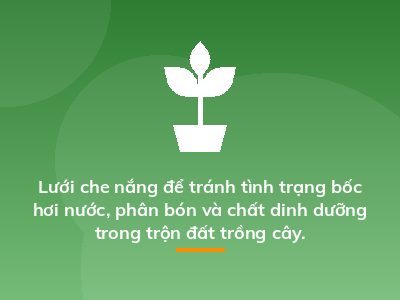Lưới che nắng để tránh tình trạng bốc hơi nước, phân bón và chất dinh dưỡng trong trộn đất trồng cây.