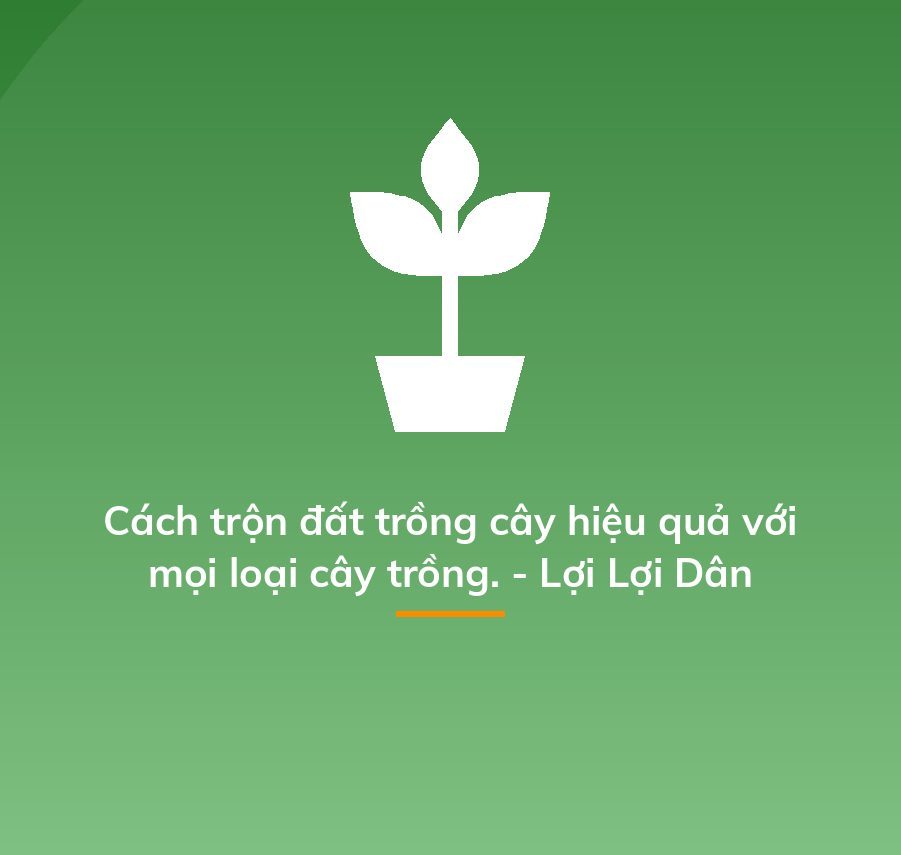 Cách trộn đất trồng cây hiệu quả với mọi loại cây trồng. - Lợi Lợi Dân